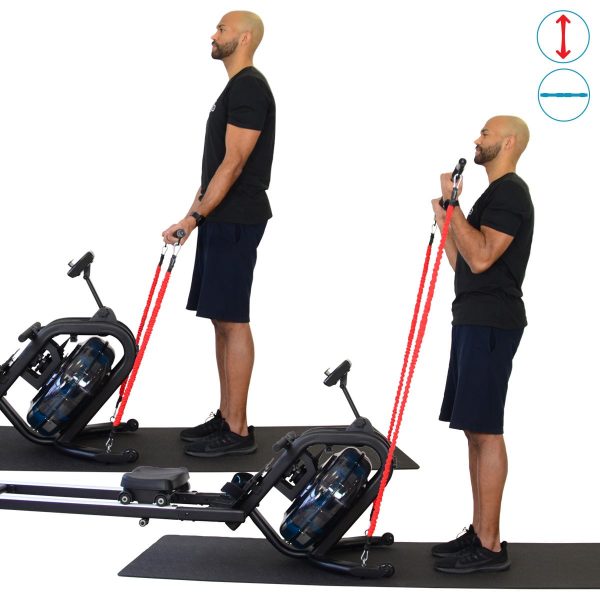 Richtige Ausführung der Übung Biceps Curl Bar mit Widerstandsband und Rudergerät